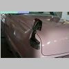mr2010_1142.jpg